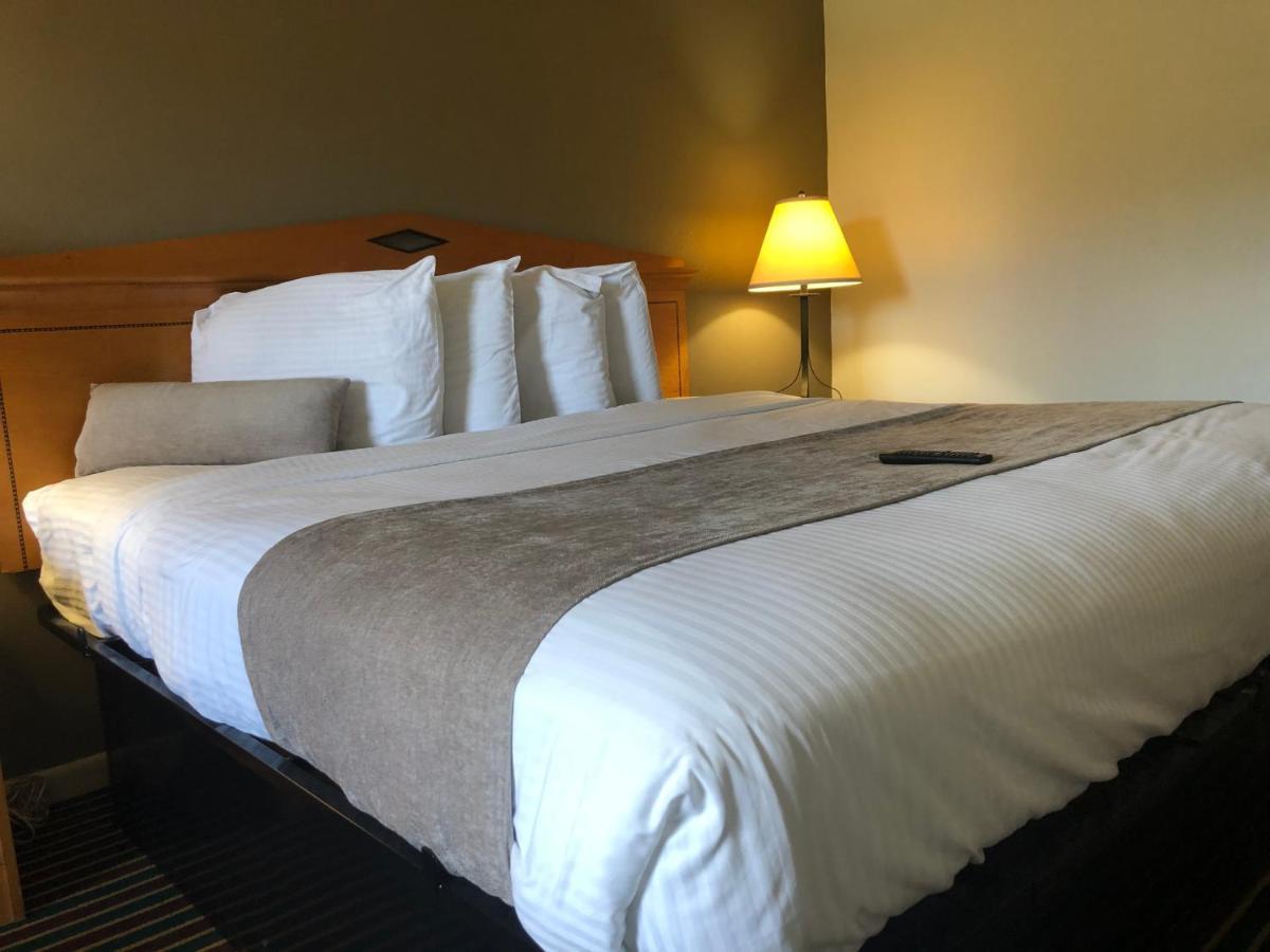 Budget Inn Timmonsville Exteriér fotografie